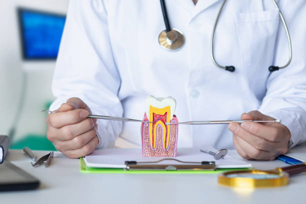 Best Emergency Root Canal Treatment in Hico, TX